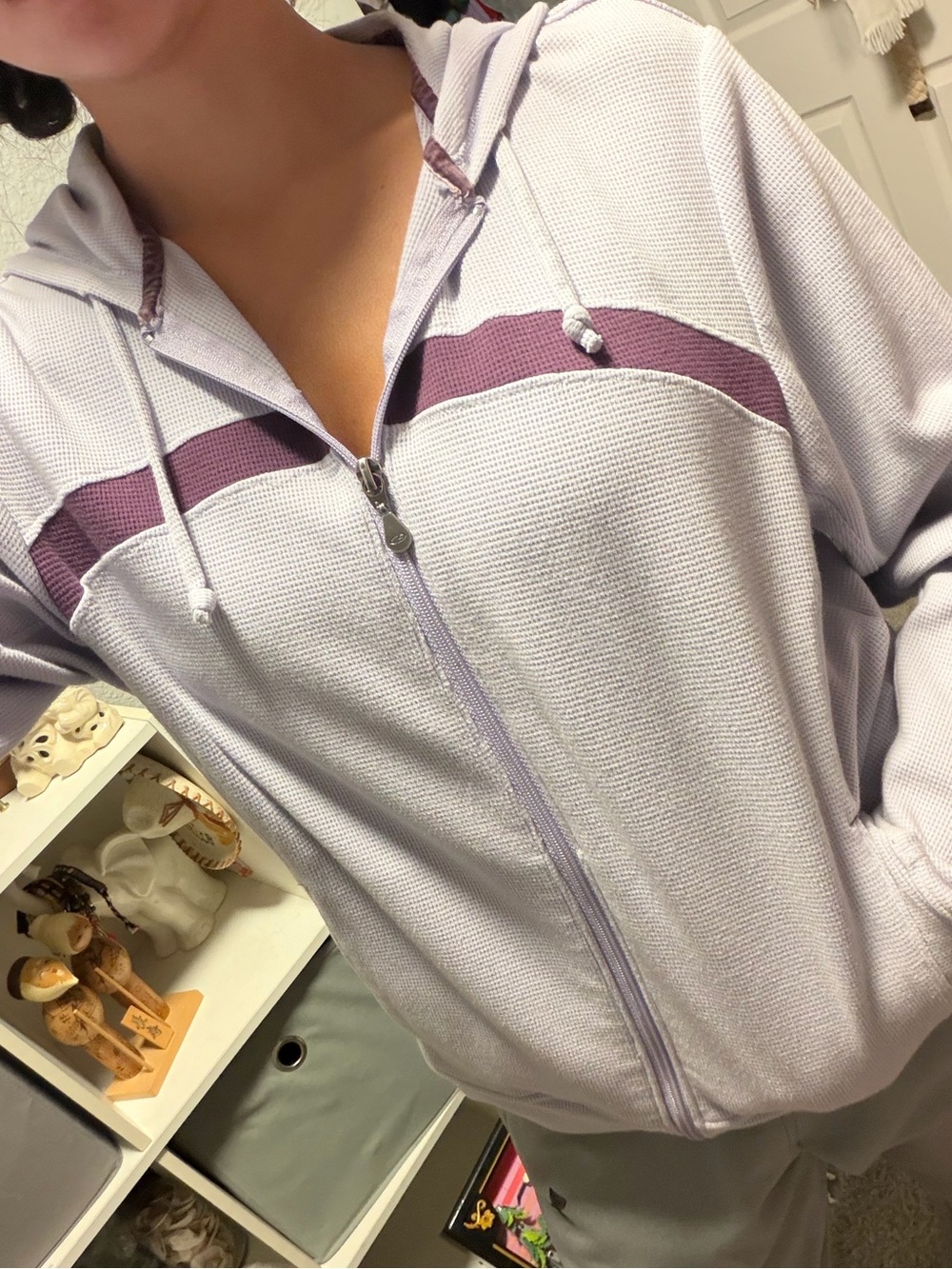 Champion Light Lavender Hooded Zip Jacket with Plum Stripe